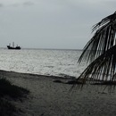 Cozumel 2015 (359992)