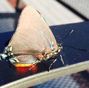 Ronald McDonald House (360296)