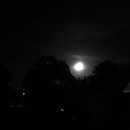 Random iPhone Shots (360189)