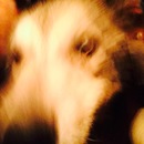 Abel and Mike's (360130)