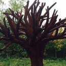 Art Prize 7 (360454)