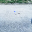 House Building (360114)