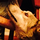 Abel and Mike's (360085)