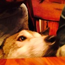 Abel and Mike's (360063)