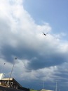 Drone Flying (360430)
