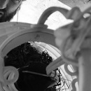 Broadmoor Spider (360316)