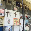 Cozumel 2015 (359994)