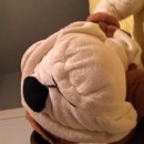 Random iPhone Shots (359975)