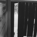 Cozumel 2015 (360284)