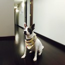 Random Office Shots (360230)