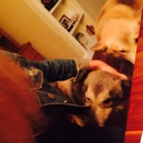 Abel and Mike's (360177)