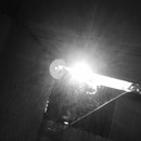 Broadmoor Spider (360290)