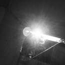 Broadmoor Spider (360414)