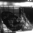 Random iPhone Shots (359967)