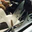 The Jaws Van (360358)