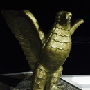 Cozumel 2015 (360302)