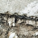 House Building (360252)