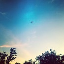 Random iPhone Shots (360250)