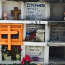 Cozumel 2015 (360332)