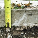 House Building (360481)