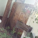 Random iPhone Shots (361048)