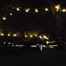 Laguna Gloria (361250)