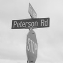 Bresette Party (361010)