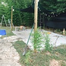 House Building (360906)