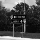 Cozumel 2015 (360589)