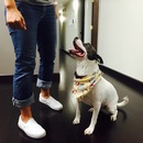 Random Office Shots (361050)