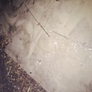 House Building (361112)