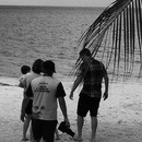 Cozumel 2015 (361151)