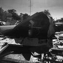 Random iPhone Shots (361304)