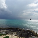 Cozumel 2015 (360862)
