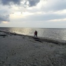 Cozumel 2015 (361133)