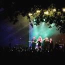 First Aid Kit at Stubbs (360850)