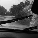 2015 Floods (361181)