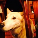 Abel and Mike's (360695)