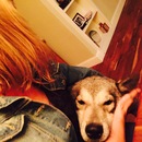 Abel and Mike's (361435)