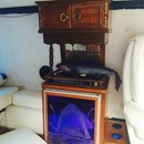 The Jaws Van (360533)