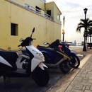 Cozumel 2015 (360489)