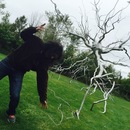 Art Prize 7 (360668)