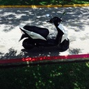 Cozumel 2015 (361269)