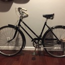 Fixing Brooke's Bike (361177)