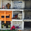 Cozumel 2015 (361376)