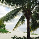 Cozumel 2015 (360629)