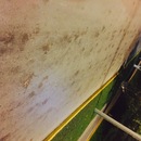 Cozumel 2015 (361097)