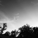 Random iPhone Shots (361420)