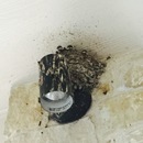 Random iPhone Shots (360548)