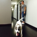 Random Office Shots (361482)